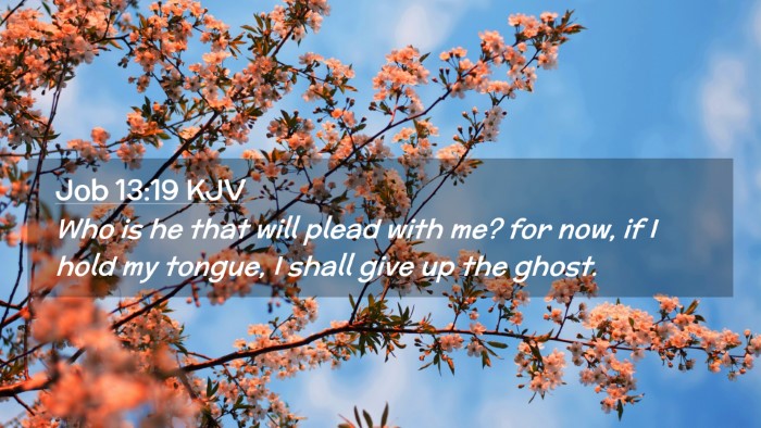 Picture 02 - Job 13:19 KJV Desktop Wallpaper - Who is he that will plead with me? for now, if I - Desktop Bible Verse Wallpaper