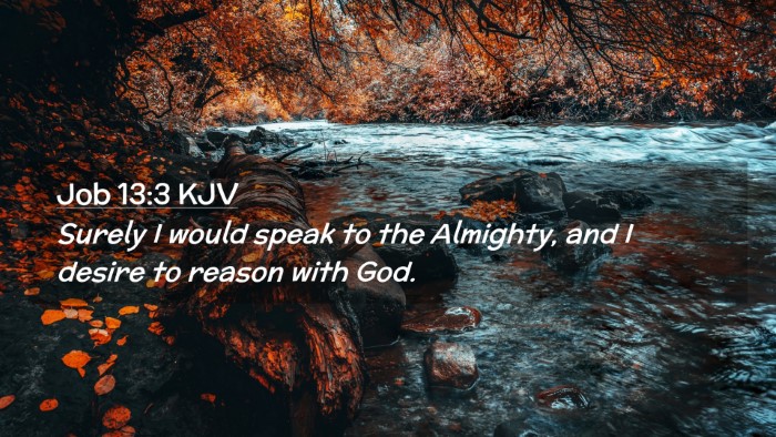 Picture 02 - Job 13:3 KJV Desktop Wallpaper - Surely I would speak to the Almighty, and I - Desktop Bible Verse Wallpaper