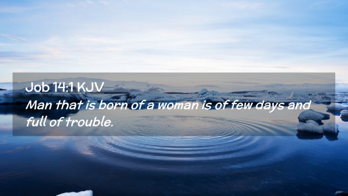 Picture 02 - Job 14:1 KJV Desktop Wallpaper - Man that is born of a woman is of few days and - Desktop Bible Verse Wallpaper