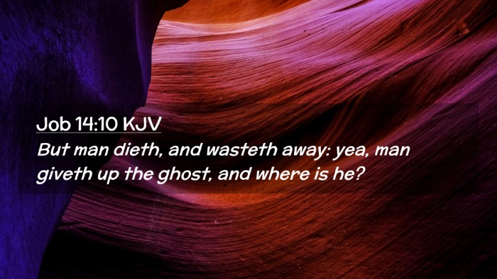 Picture 02 - Job 14:10 KJV Desktop Wallpaper - But man dieth, and wasteth away: yea, man giveth - Desktop Bible Verse Wallpaper