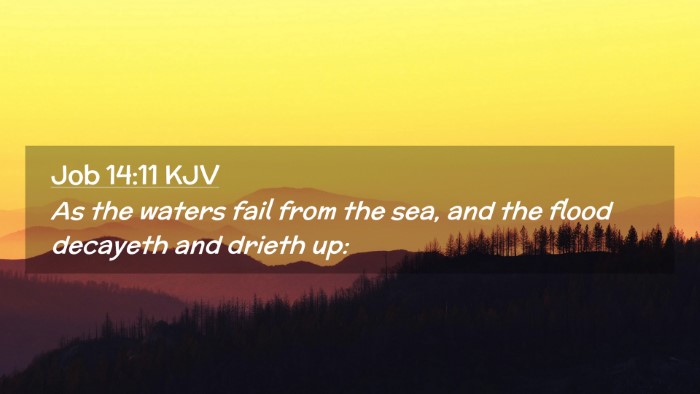 Picture 02 - Job 14:11 KJV Desktop Wallpaper - As the waters fail from the sea, and the flood - Desktop Bible Verse Wallpaper