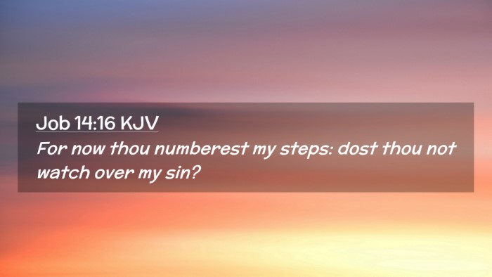 Picture 02 - Job 14:16 KJV Desktop Wallpaper - For now thou numberest my steps: dost thou not - Desktop Bible Verse Wallpaper