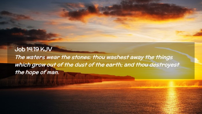 Picture 02 - Job 14:19 KJV Desktop Wallpaper - The waters wear the stones: thou washest away the - Desktop Bible Verse Wallpaper