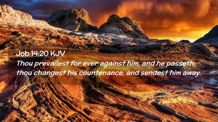 Picture 02 - Job 14:20 KJV Desktop Wallpaper - Thou prevailest for ever against him, and he - Desktop Bible Verse Wallpaper