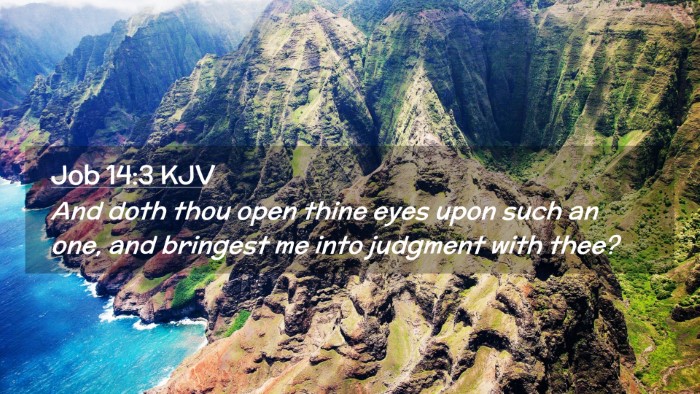 Picture 02 - Job 14:3 KJV Desktop Wallpaper - And doth thou open thine eyes upon such an one, - Desktop Bible Verse Wallpaper