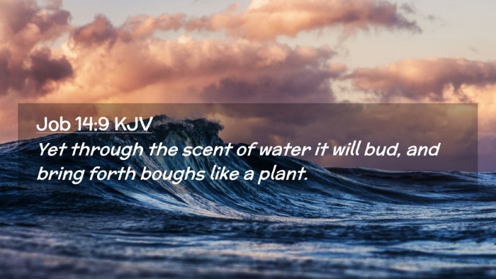 Picture 02 - Job 14:9 KJV Desktop Wallpaper - Yet through the scent of water it will bud, and - Desktop Bible Verse Wallpaper
