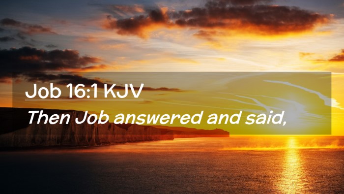 Picture 02 - Job 16:1 KJV Desktop Wallpaper - Then Job answered and - Desktop Bible Verse Wallpaper