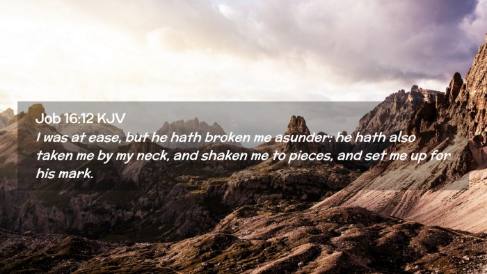 Picture 02 - Job 16:12 KJV Desktop Wallpaper - I was at ease, but he hath broken me asunder: he - Desktop Bible Verse Wallpaper