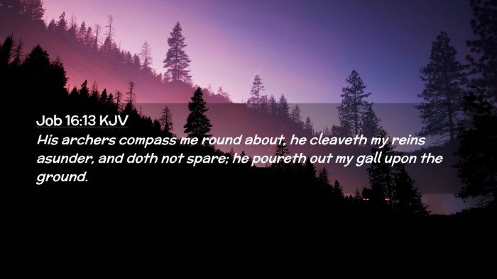 Picture 02 - Job 16:13 KJV Desktop Wallpaper - His archers compass me round about, he cleaveth - Desktop Bible Verse Wallpaper