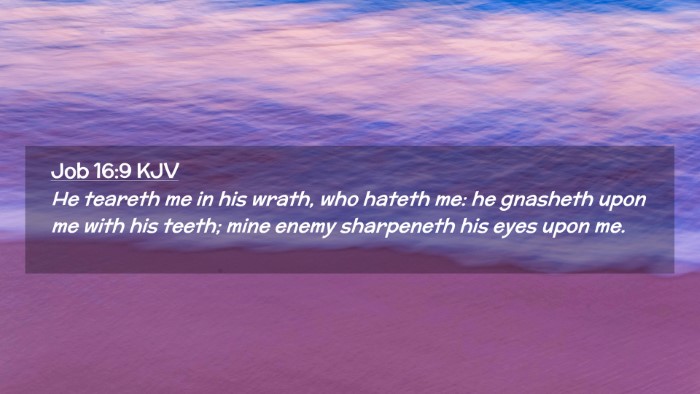 Picture 02 - Job 16:9 KJV Desktop Wallpaper - He teareth me in his wrath, who hateth me: he - Desktop Bible Verse Wallpaper