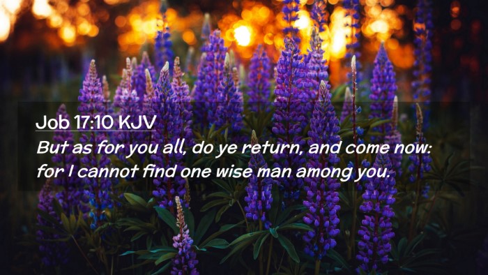 Picture 02 - Job 17:10 KJV Desktop Wallpaper - But as for you all, do ye return, and come now: - Desktop Bible Verse Wallpaper