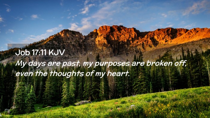 Picture 02 - Job 17:11 KJV Desktop Wallpaper - My days are past, my purposes are broken off, - Desktop Bible Verse Wallpaper