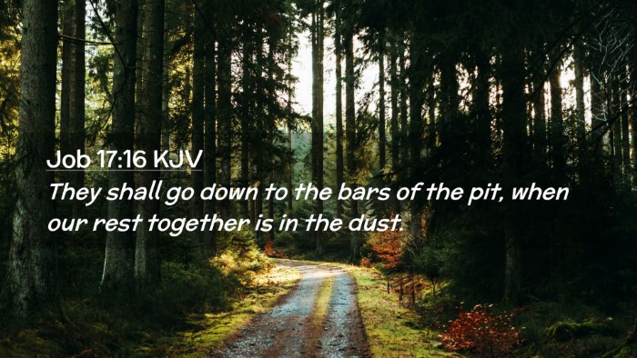 Picture 02 - Job 17:16 KJV Desktop Wallpaper - They shall go down to the bars of the pit, when - Desktop Bible Verse Wallpaper