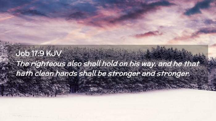 Picture 02 - Job 17:9 KJV Desktop Wallpaper - The righteous also shall hold on his way, and he - Desktop Bible Verse Wallpaper