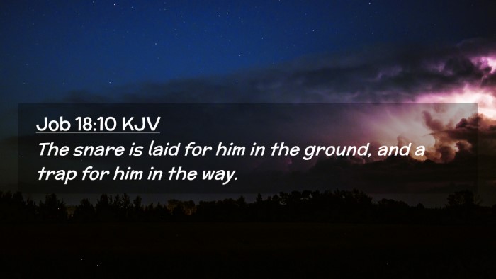 Picture 02 - Job 18:10 KJV Desktop Wallpaper - The snare is laid for him in the ground, and a - Desktop Bible Verse Wallpaper