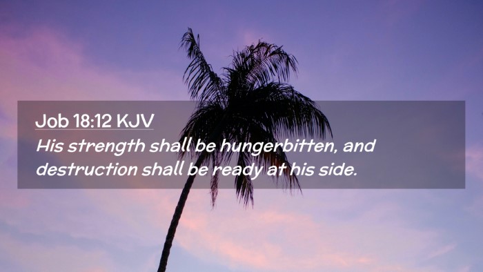 Picture 02 - Job 18:12 KJV Desktop Wallpaper - His strength shall be hungerbitten, and - Desktop Bible Verse Wallpaper