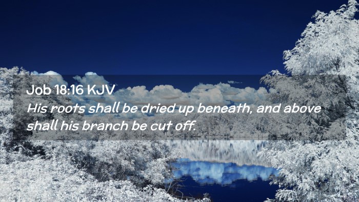Picture 02 - Job 18:16 KJV Desktop Wallpaper - His roots shall be dried up beneath, and above - Desktop Bible Verse Wallpaper