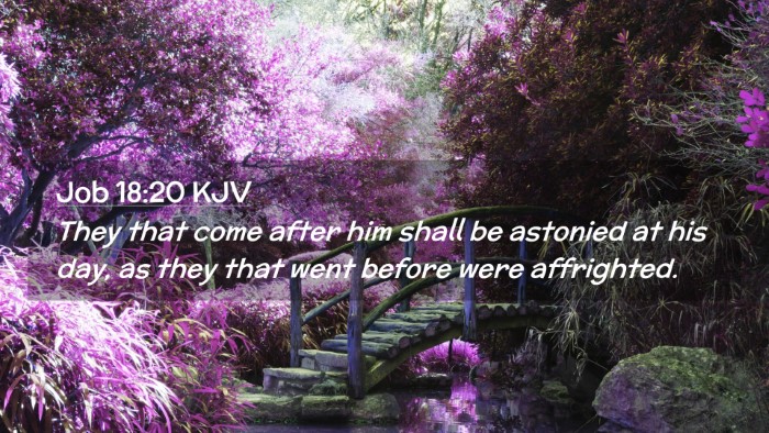 Picture 02 - Job 18:20 KJV Desktop Wallpaper - They that come after him shall be astonied at his - Desktop Bible Verse Wallpaper