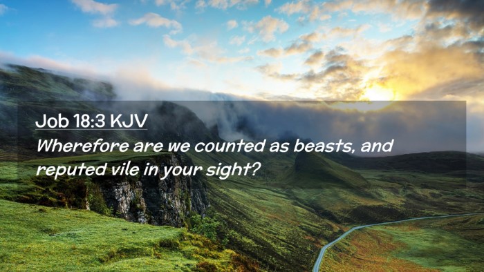 Picture 02 - Job 18:3 KJV Desktop Wallpaper - Wherefore are we counted as beasts, and reputed - Desktop Bible Verse Wallpaper