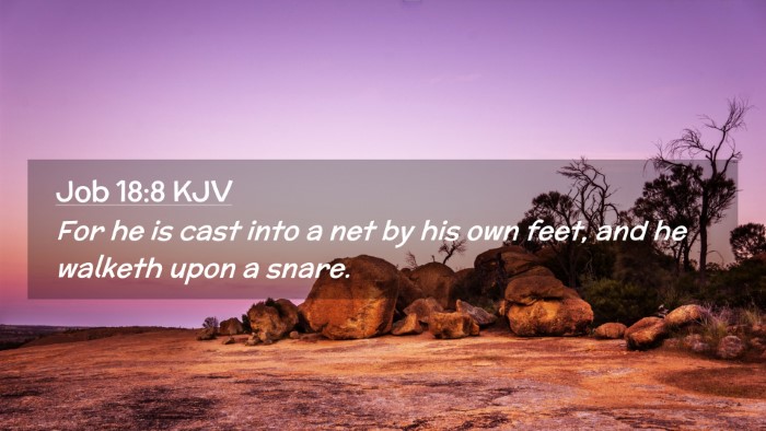 Picture 02 - Job 18:8 KJV Desktop Wallpaper - For he is cast into a net by his own feet, and he - Desktop Bible Verse Wallpaper