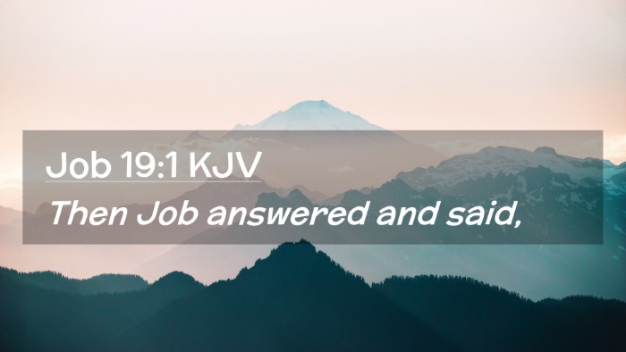 Picture 02 - Job 19:1 KJV Desktop Wallpaper - Then Job answered and - Desktop Bible Verse Wallpaper