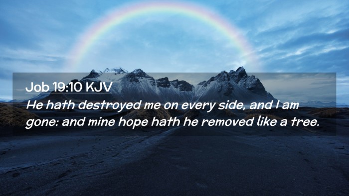 Picture 02 - Job 19:10 KJV Desktop Wallpaper - He hath destroyed me on every side, and I am - Desktop Bible Verse Wallpaper
