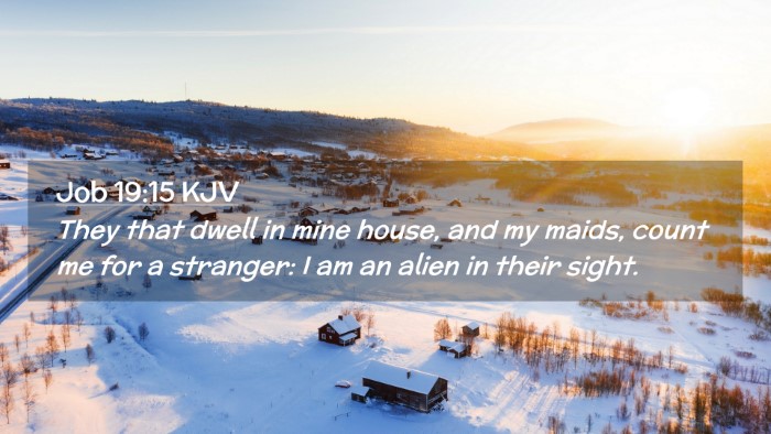 Picture 02 - Job 19:15 KJV Desktop Wallpaper - They that dwell in mine house, and my maids, - Desktop Bible Verse Wallpaper