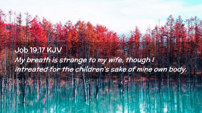 Picture 02 - Job 19:17 KJV Desktop Wallpaper - My breath is strange to my wife, though I - Desktop Bible Verse Wallpaper