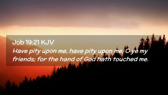 Picture 02 - Job 19:21 KJV Desktop Wallpaper - Have pity upon me, have pity upon me, O ye my - Desktop Bible Verse Wallpaper