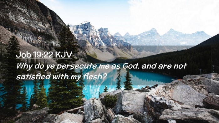 Picture 02 - Job 19:22 KJV Desktop Wallpaper - Why do ye persecute me as God, and are not - Desktop Bible Verse Wallpaper