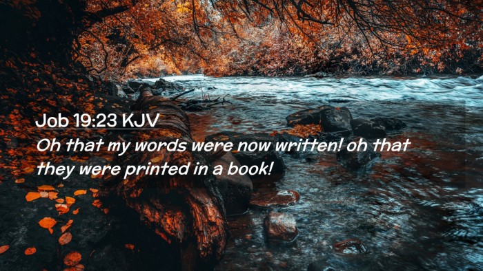 Picture 02 - Job 19:23 KJV Desktop Wallpaper - Oh that my words were now written! oh that they - Desktop Bible Verse Wallpaper