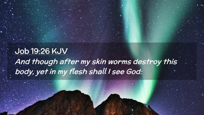 Picture 02 - Job 19:26 KJV Desktop Wallpaper - And though after my skin worms destroy this body, - Desktop Bible Verse Wallpaper