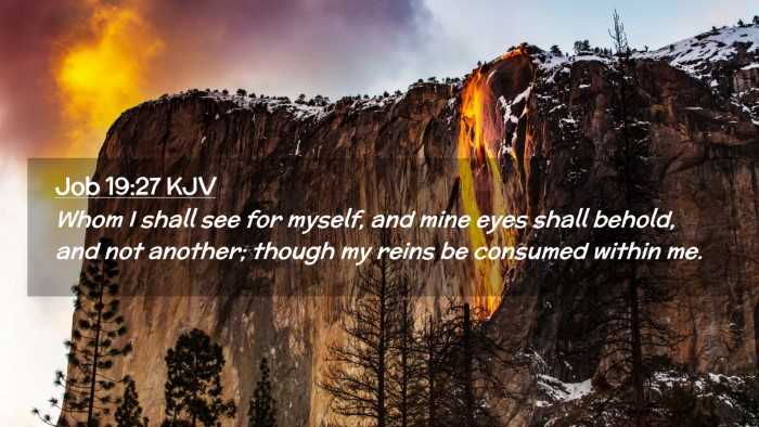 Picture 02 - Job 19:27 KJV Desktop Wallpaper - Whom I shall see for myself, and mine eyes shall - Desktop Bible Verse Wallpaper