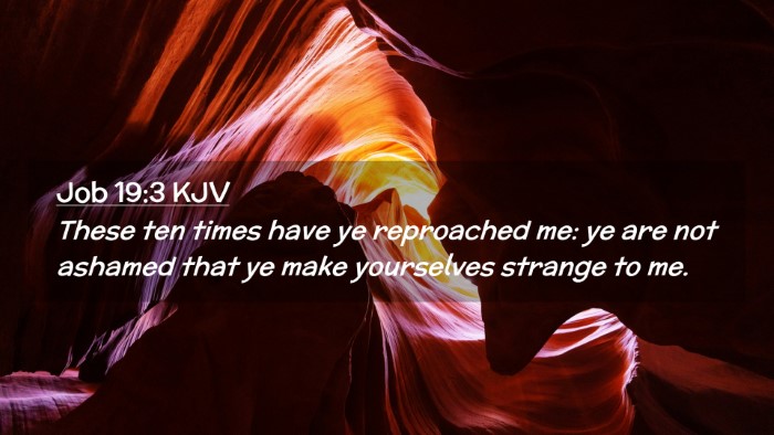 Picture 02 - Job 19:3 KJV Desktop Wallpaper - These ten times have ye reproached me: ye are not - Desktop Bible Verse Wallpaper