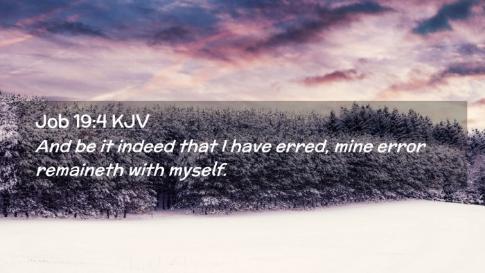 Picture 02 - Job 19:4 KJV Desktop Wallpaper - And be it indeed that I have erred, mine error - Desktop Bible Verse Wallpaper