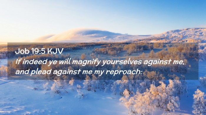 Picture 02 - Job 19:5 KJV Desktop Wallpaper - If indeed ye will magnify yourselves against me, - Desktop Bible Verse Wallpaper