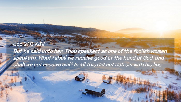 Picture 02 - Job 2:10 KJV Desktop Wallpaper - But he said unto her, Thou speakest as one of the - Desktop Bible Verse Wallpaper