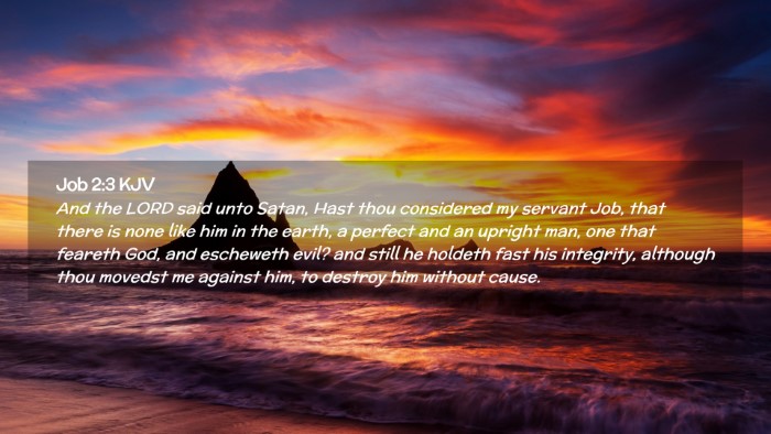 Picture 02 - Job 2:3 KJV Desktop Wallpaper - And the LORD said unto Satan, Hast thou - Desktop Bible Verse Wallpaper