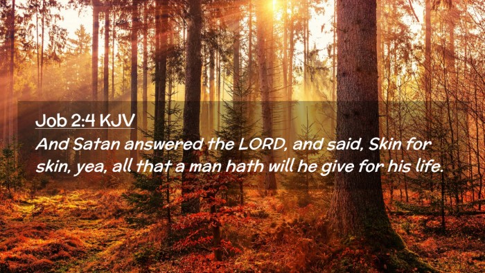 Picture 02 - Job 2:4 KJV Desktop Wallpaper - And Satan answered the LORD, and said, Skin for - Desktop Bible Verse Wallpaper