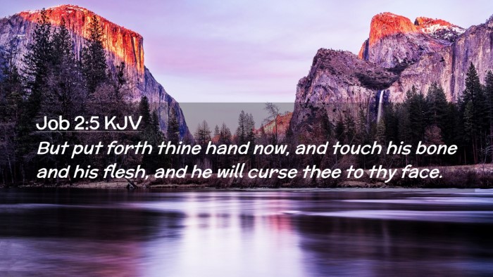 Picture 02 - Job 2:5 KJV Desktop Wallpaper - But put forth thine hand now, and touch his bone - Desktop Bible Verse Wallpaper