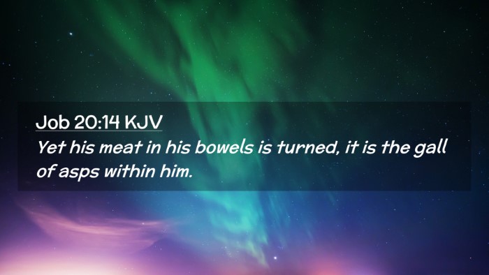 Picture 02 - Job 20:14 KJV Desktop Wallpaper - Yet his meat in his bowels is turned, it is the - Desktop Bible Verse Wallpaper