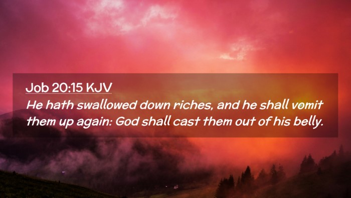 Picture 02 - Job 20:15 KJV Desktop Wallpaper - He hath swallowed down riches, and he shall vomit - Desktop Bible Verse Wallpaper