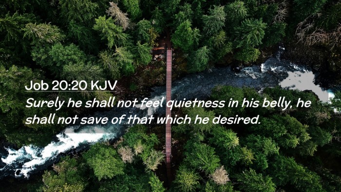 Picture 02 - Job 20:20 KJV Desktop Wallpaper - Surely he shall not feel quietness in his belly, - Desktop Bible Verse Wallpaper