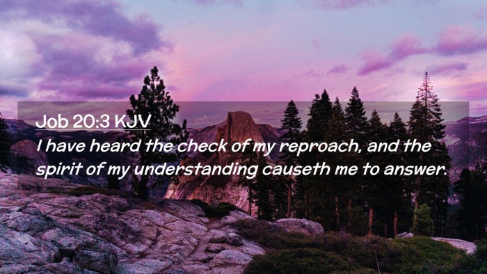 Picture 02 - Job 20:3 KJV Desktop Wallpaper - I have heard the check of my reproach, and the - Desktop Bible Verse Wallpaper