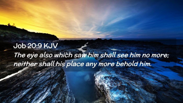 Picture 02 - Job 20:9 KJV Desktop Wallpaper - The eye also which saw him shall see him no more; - Desktop Bible Verse Wallpaper