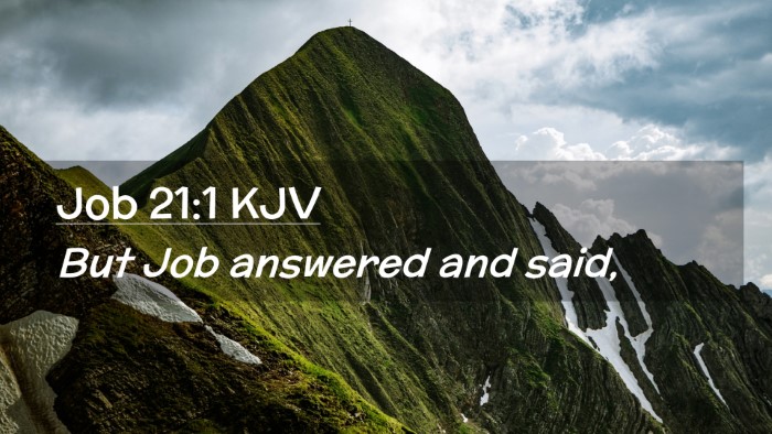 Picture 02 - Job 21:1 KJV Desktop Wallpaper - But Job answered and - Desktop Bible Verse Wallpaper