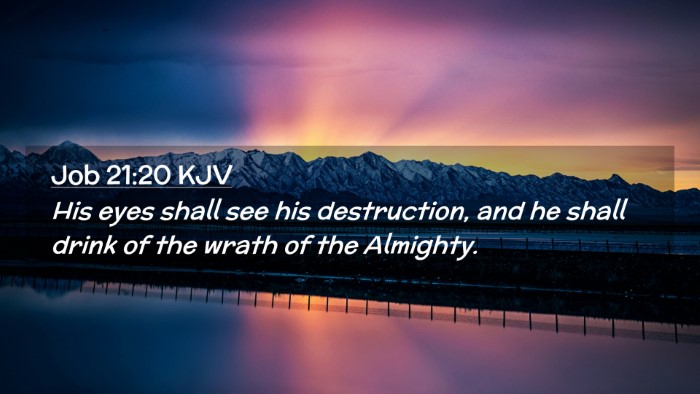 Picture 02 - Job 21:20 KJV Desktop Wallpaper - His eyes shall see his destruction, and he shall - Desktop Bible Verse Wallpaper
