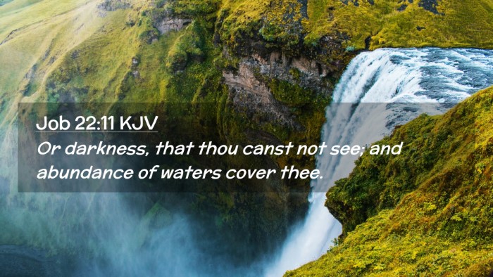Picture 02 - Job 22:11 KJV Desktop Wallpaper - Or darkness, that thou canst not see; and - Desktop Bible Verse Wallpaper