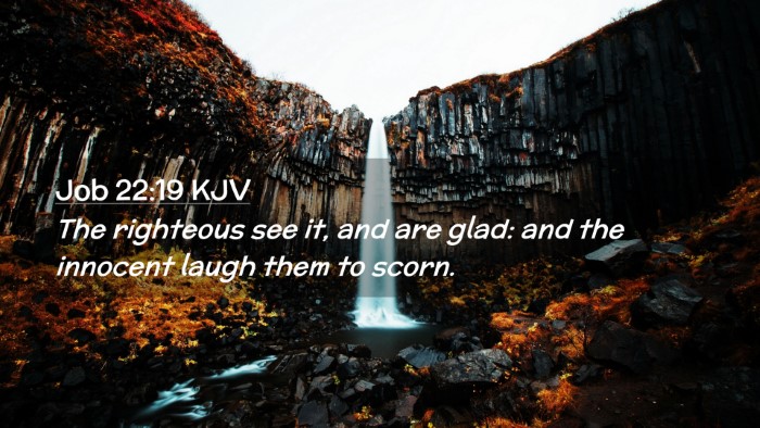 Picture 02 - Job 22:19 KJV Desktop Wallpaper - The righteous see it, and are glad: and the - Desktop Bible Verse Wallpaper