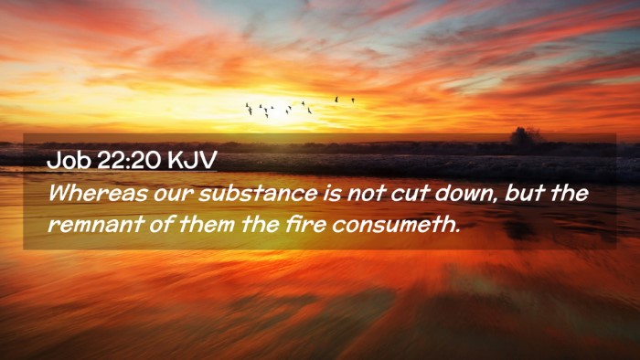 Picture 02 - Job 22:20 KJV Desktop Wallpaper - Whereas our substance is not cut down, but the - Desktop Bible Verse Wallpaper